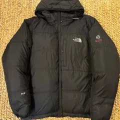 THE NORTH FACE ザ・ノース・フェイス サミットシリーズ グースダウン ザ・ノース・フェイス (ㅎ4520)のサムネイル