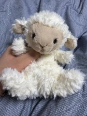 JELLYCAT ジェリーキャット うさぎ ぬいぐるみ セット ボンポワン S
