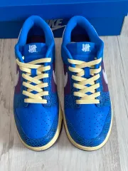 265 / NIKE x UNDEFEATED DUNK LOW SP 5 ON IT