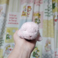 昭和レトロ セキグチ Sekiguchi ファンシー ぶた ブタ 豚 ぬいぐるみ