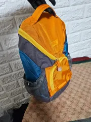 ほぼ新品) Coleman 正規品 バックパック