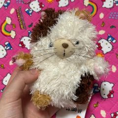 みかん様】 アメリカンショートヘアのねこちゃんの着ぐるみ