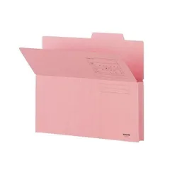 （まとめ） コクヨ 持ち出しフォルダー（カラー） A4 ピンク A4-CFP 1パック（10冊） 〔×4セット〕