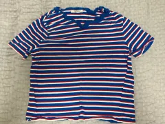 ザラ ストライプ Tシャツ