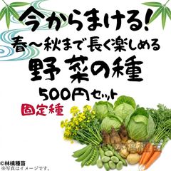 まだまだ間に合う！家庭菜園に！ 野菜の種セット 固定種 500円 - メルカリ