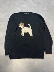 人気カラー❗️ラルフローレン♡ユニセックスS 半袖スウェット 