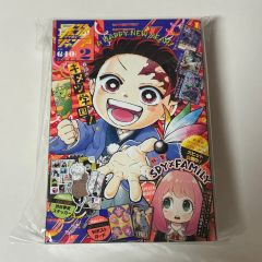 専用出品】ワンピースカード絵繋ぎ エース②（コミパラ）専用アクリル