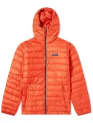 patagonia 旧 Ver. ダウンセーター フーディー M 新品のサムネイル