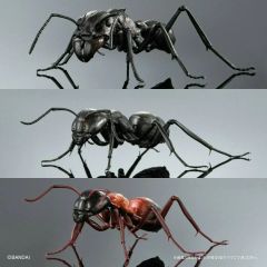 L*7様 いきもの大図鑑 旭山動物園限定 全6種set - メルカリ