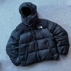 THE NORTH FACE ザノースフェイス ウィンドストッパー ダウン ジャケット