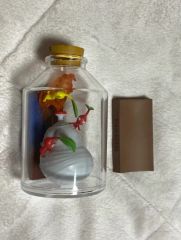 自作オリジナル】ピクミン全種入り！ピクミンテラリウム - メルカリ