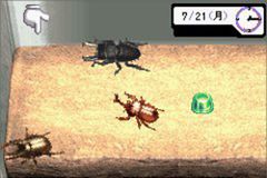 みんなの飼育シリーズ ぼくのカブト・クワガタ GBA ソフト - メルカリ