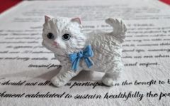 プライズフィギュアまとめ売り 開封品 箱無し ワンピース 猫猫 美少女 