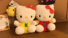 杏林堂✕キティちゃんコラボ 栄養士＆薬剤師ぬいぐるみ 計2点 - メルカリ