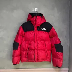 THE NORTH FACE ザノースフェイス 700 サミットシリーズ ウィンドストッパー グースダウン ダウン