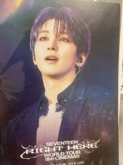 SEVENTEEN the saem ウォヌ ポスター セブチ - メルカリ