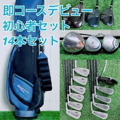 即コースデビュー！ メンズ ゴルフクラブ フルセット 11本 初心者