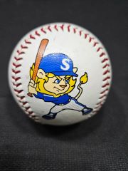 希少！当時物】1978年 ヤクルトスワローズ 初優勝記念メダル 日本一
