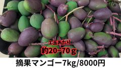 摘果マンゴー 約7kg 沖縄産 摘果マンゴー（送料無料） - メルカリ