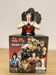 鉄拳 麻 STAGE シャオユ