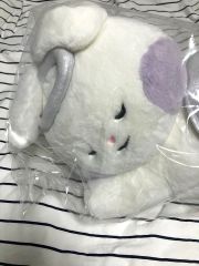 zb1 ゼベワン zeroni エンジェル ぬいぐるみ ユジン ユニニ - メルカリ