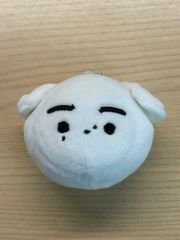 ソンフン ぬいぐるみ enhypen 5センチ マスター 新品 - メルカリ
