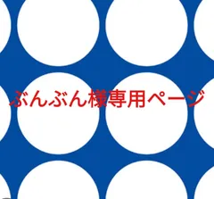 ぶんぶん様専用ページです。