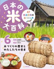日清食品 六十年史 - メルカリ