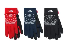 2026年最新】north face supreme 手袋の人気アイテム - メルカリ