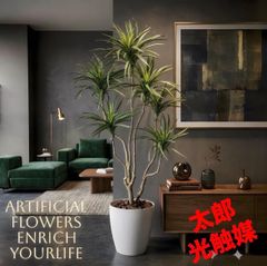 光触媒 観葉植物 ウォールグリーン フェイクグリーン ストレリチア 