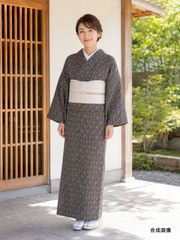 お買得】夏着物と帯セット 小紋 普段着 夏コーデ 着丈156㎝ - メルカリ