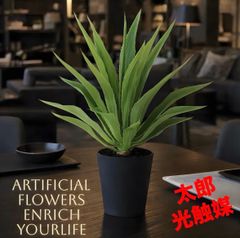 光触媒 人工観葉植物 ウォールグリーン フェイクグリーン アガベ 