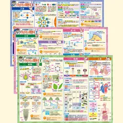 B3サイズ 中学受験に必要な理科まとめ 学習 日本製 3枚セット 知育 お風呂ポスター 中学受験マスターどこでも理科 防水 お風呂の学校