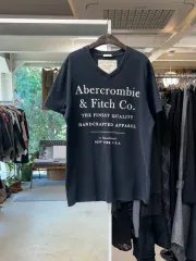 アバクロンビー シングルステッチ Tシャツ