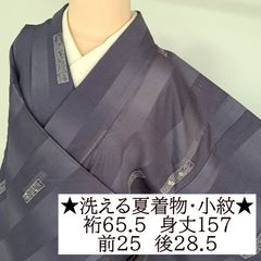 裄66 絽 小紋 188235031.jpg?cmsp_timestamp=