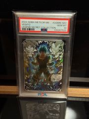 レジロックEX SR PSA10 - メルカリ