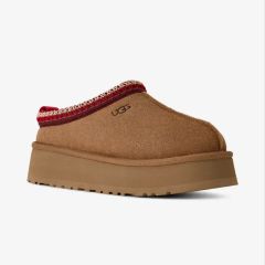 goodtaniku】Gt オアハカ実生＋2x「おまけ2点付き」 - メルカリ