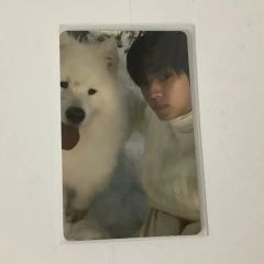 SEVENTEEN FMLトレカ エスクプス クマ - メルカリ