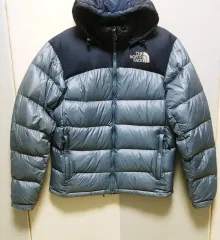 L THE NORTH FACE ザノースフェイス グース ダウンジャケット 700 グレー