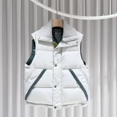(A+/50) エルメス ハイネック KARA（カラ） ベスト ダウンのサムネイル