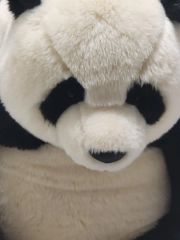 抱っこシャンシャン【もうすぐお誕生日】 - メルカリ