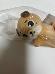 ZEROBASEONE ZB1 メテュ テュニニ ぬいぐるみバック - メルカリ