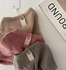 ✳︎ワンコ服✳︎ シンプルカットソー