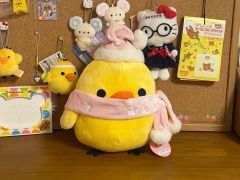 キイロイトリ おめかしセット賞 ビバ！リラッくじ Part47 ぬいぐるみ