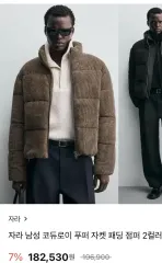 ZARA 海外でしか買えないダウンのサムネイル