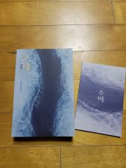 Pale Moon demo CD ステッカーセット - メルカリ