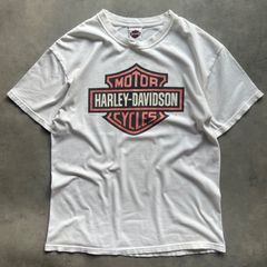 旧大判ロゴ】90s SUNDANCE サンダンス ハーレー 大和魂Tシャツ L 