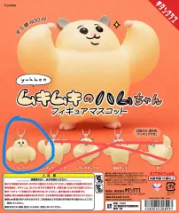 (未開封) ムキムキハムちゃん キーのサムネイル