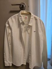 LACOSTE ラコステ ベージュ ドルマンスリーブ シャツ 大きいサイズ40 