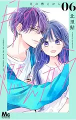 月の燃えがら 6／北里鮎